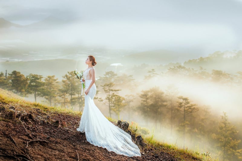 Celestial Wedding Dress